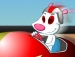 Jeu Mouse Racer